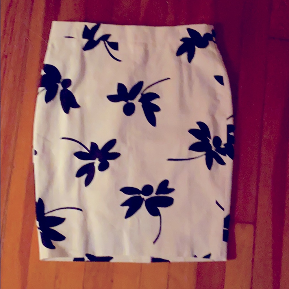 JCrew Skirt